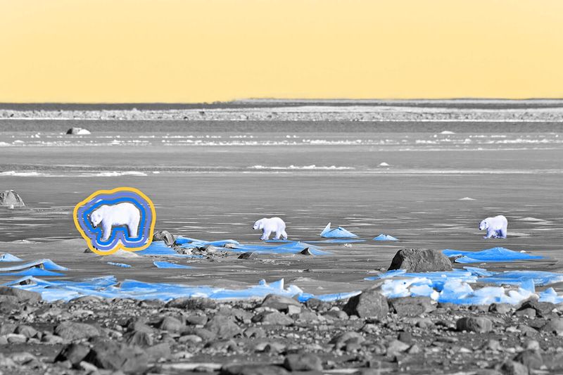 Gravity in Canada’s Hudson Bay area is weaker than in other parts of the world.