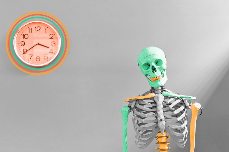 Humans get a new skeleton about every 10 years.