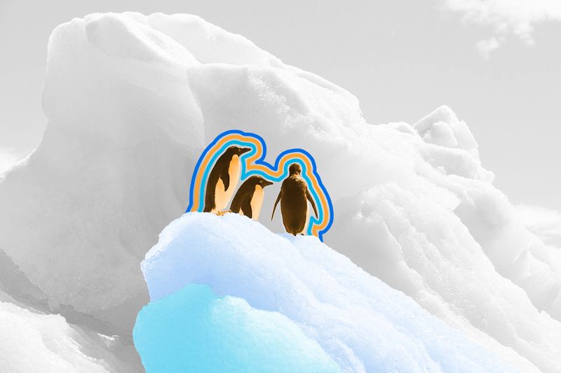 Antarctica is considered a desert.