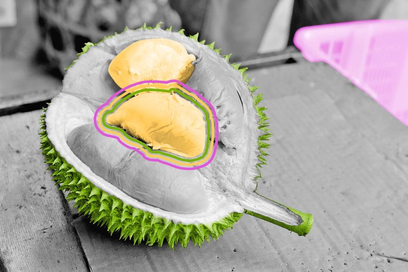 Durian fruit is banned on some public transportation.