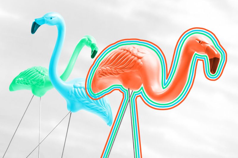 Madison, Wisconsin’s official bird is a plastic flamingo.