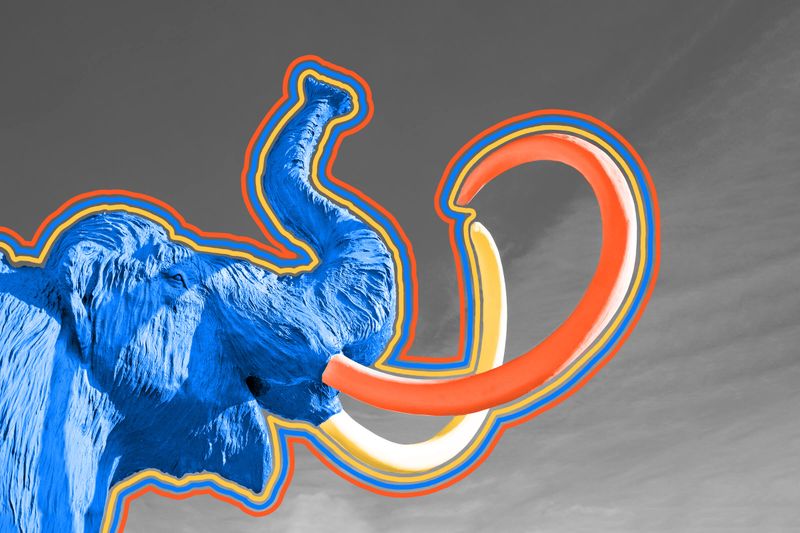Woolly mammoths were still around when the Great Pyramid of Giza was built.
