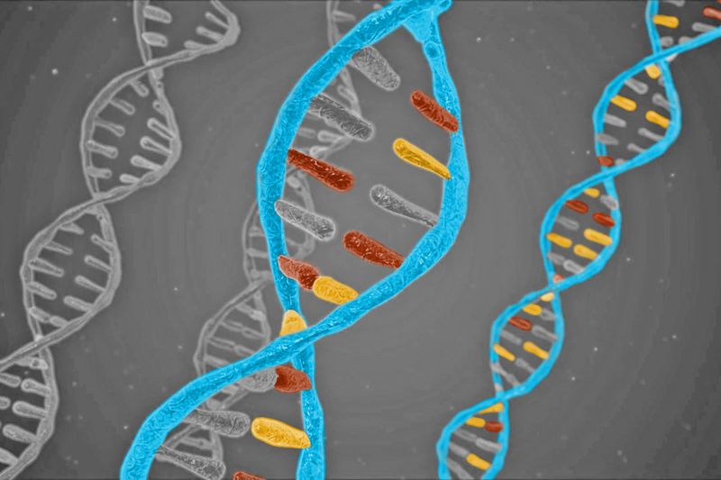 5 Facts About How Our Genes Work