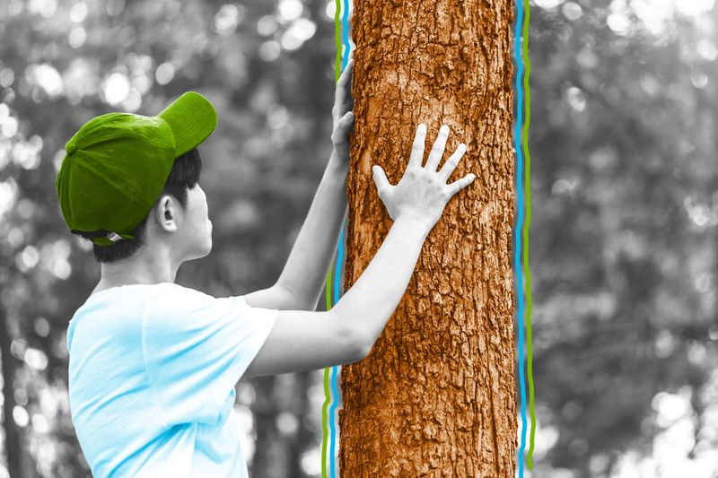 Trees can hold their breath.