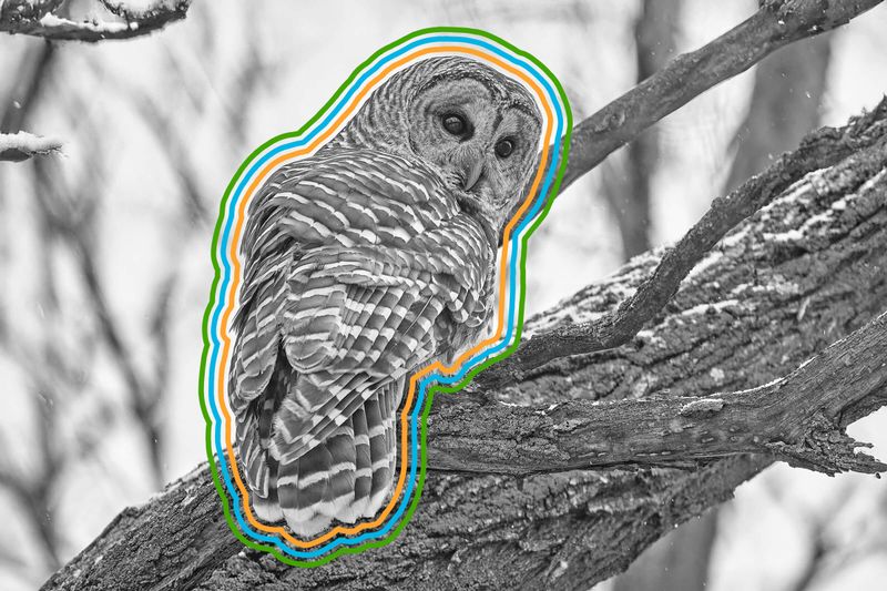 6 Mind-Blowing Animal Superpowers
