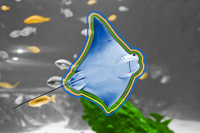 Some stingrays use their tails as antennae to sense danger.
