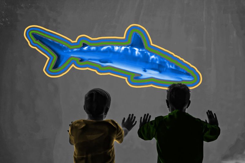 Sharks are older than Saturn’s rings.