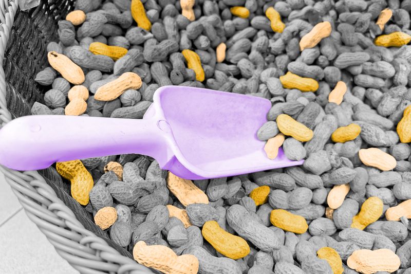 7 Foods Whose Names Make No Sense