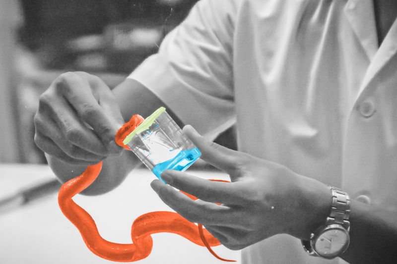 7 of the World’s Most Bizarre Jobs 