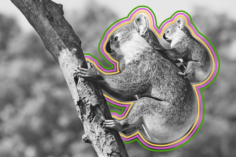 5 Animals That Don’t Sound the Way You Expect