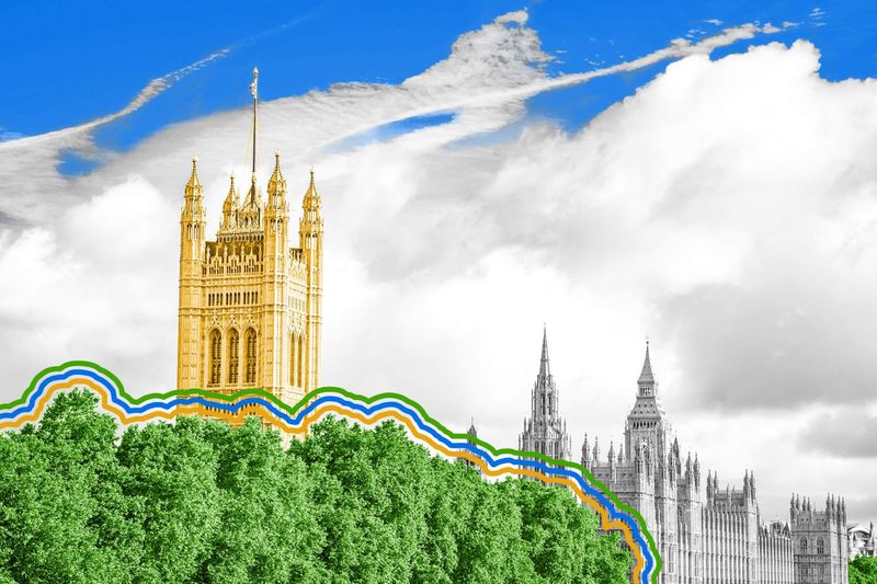 London and New York are each around 20% covered by trees.
