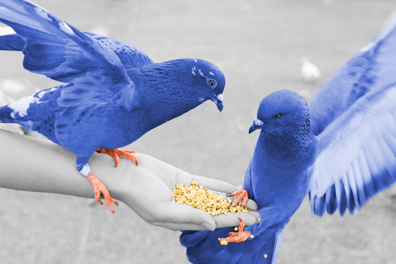 6 Common Things You Didn’t Realize Were Illegal