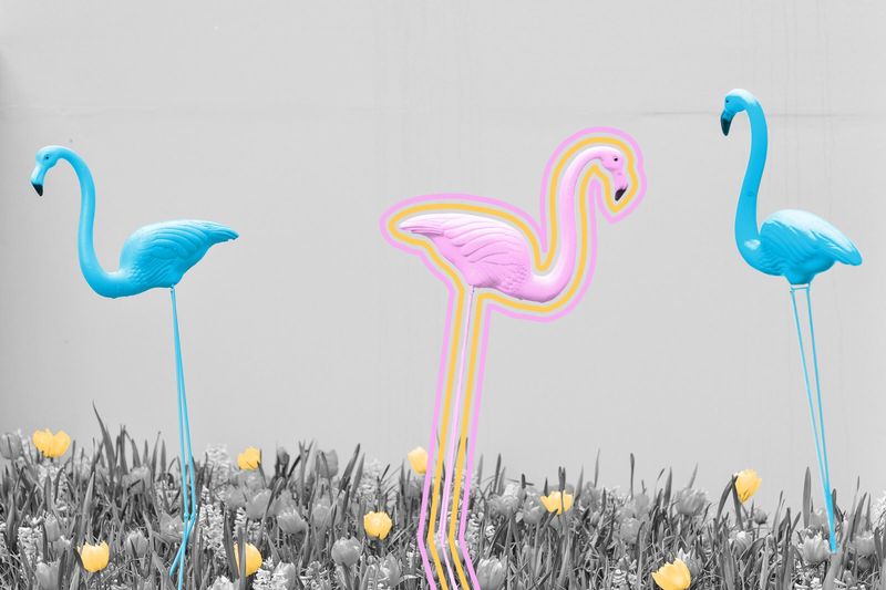 There are more fake flamingos in the world than real ones.