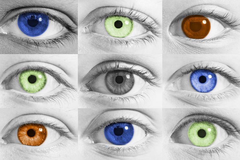 Do Colors Look the Same to Everyone?