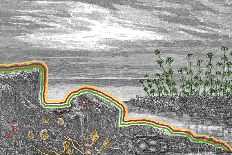The Earth used to be covered in giant mushroom-like organisms.