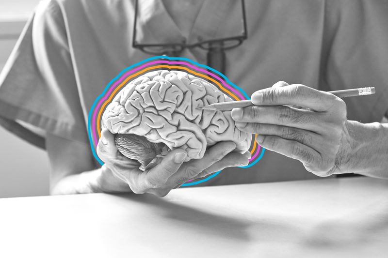 When Does Your Brain Hit Its Peak?