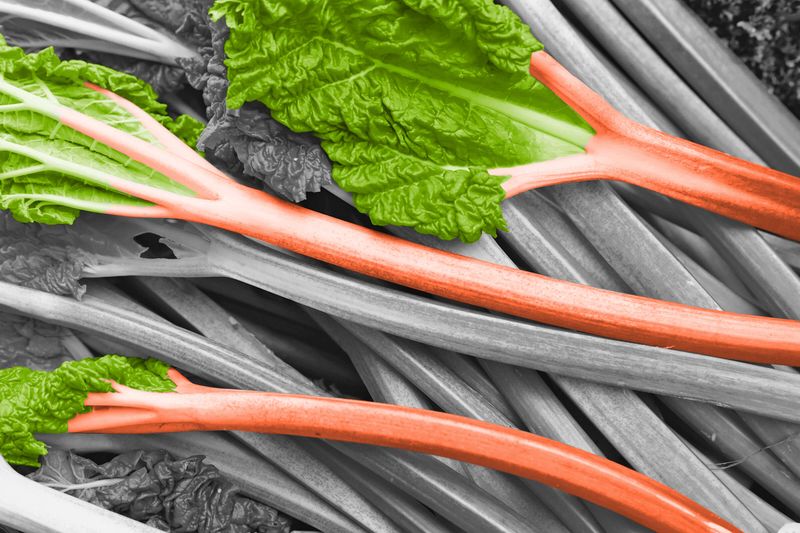 6 Common Foods That Can Be Toxic 