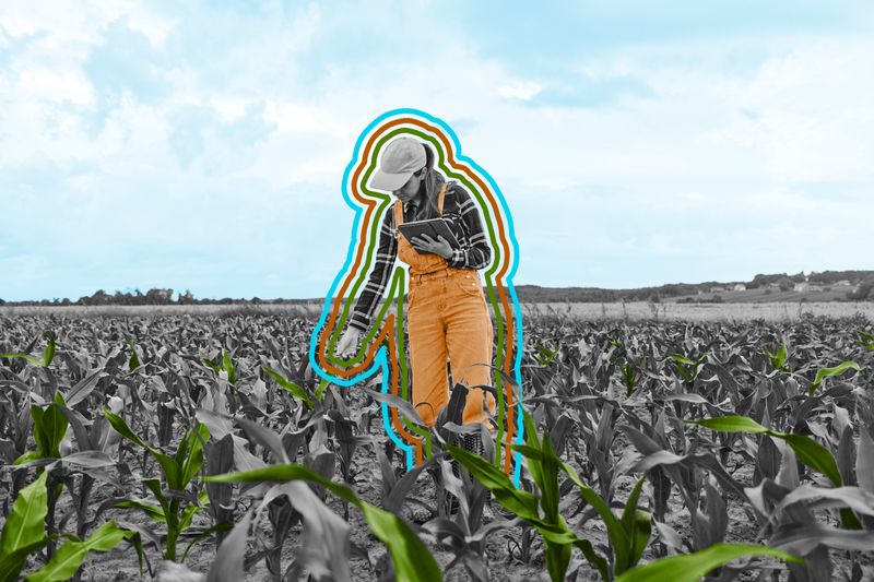 Only one crop is grown in all 50 states.