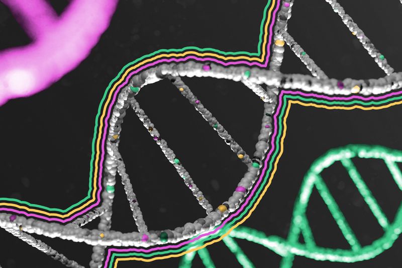 Your body has enough DNA to stretch from the sun to Pluto and back more than 10 times.